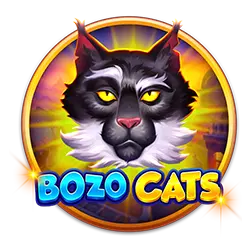 bingo plus points how to win football bet easily